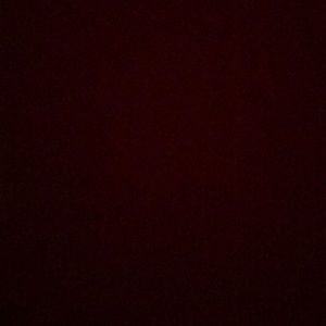 Meet your Posher, Bella